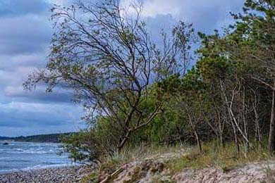 Gen.G选手伤病恢复情况通报，职业选手的伤病