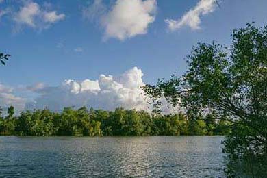 Astralis 与 Logitech G 合作，推出定制外设，logitech arx